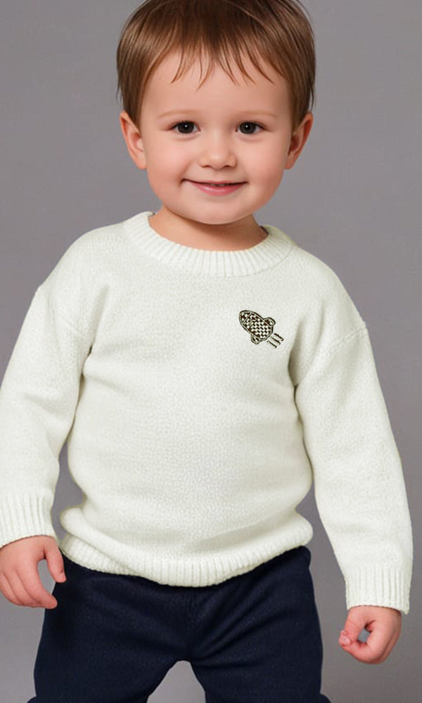 Boys Sweater - 0282923