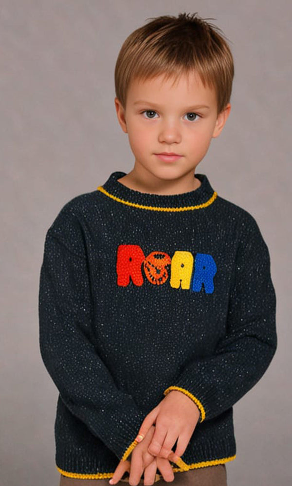 Boys Sweater - 0290541