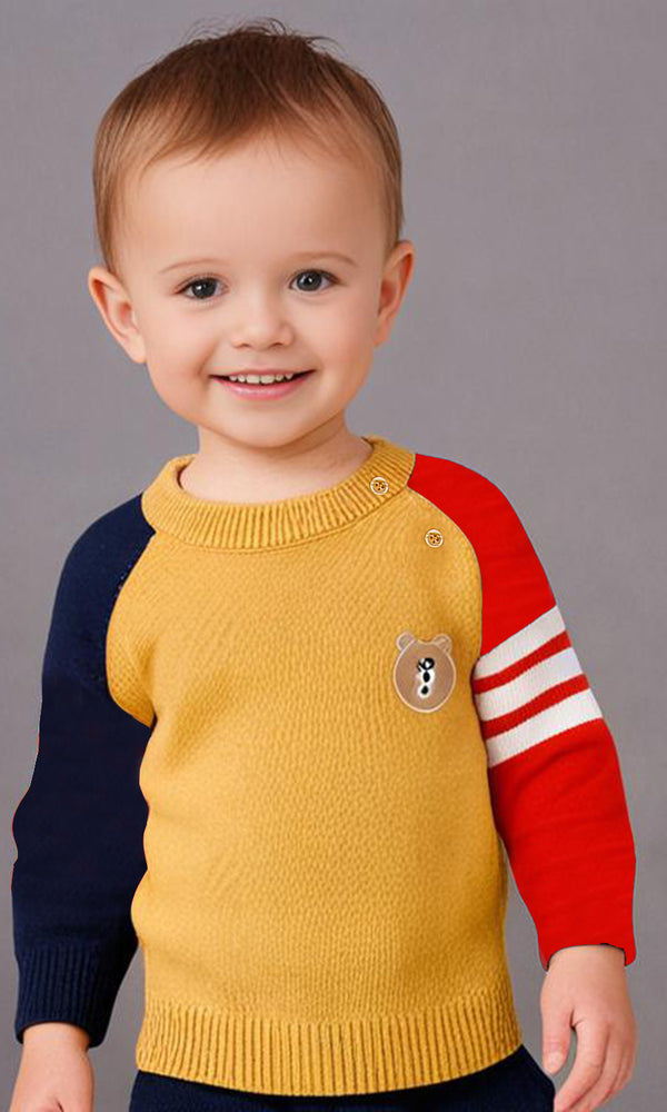 Boys Sweater - 0298518