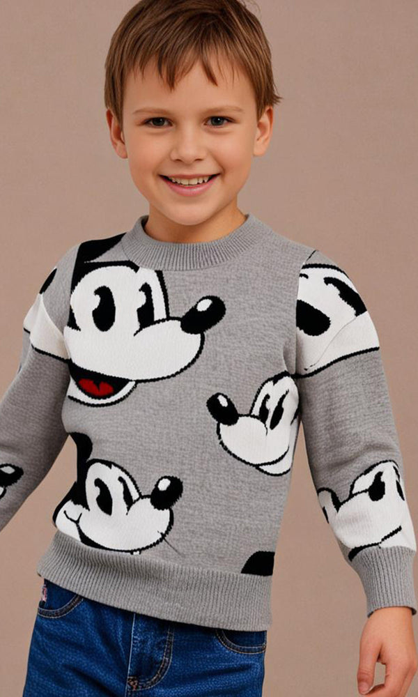 Boys Sweater - 0298667