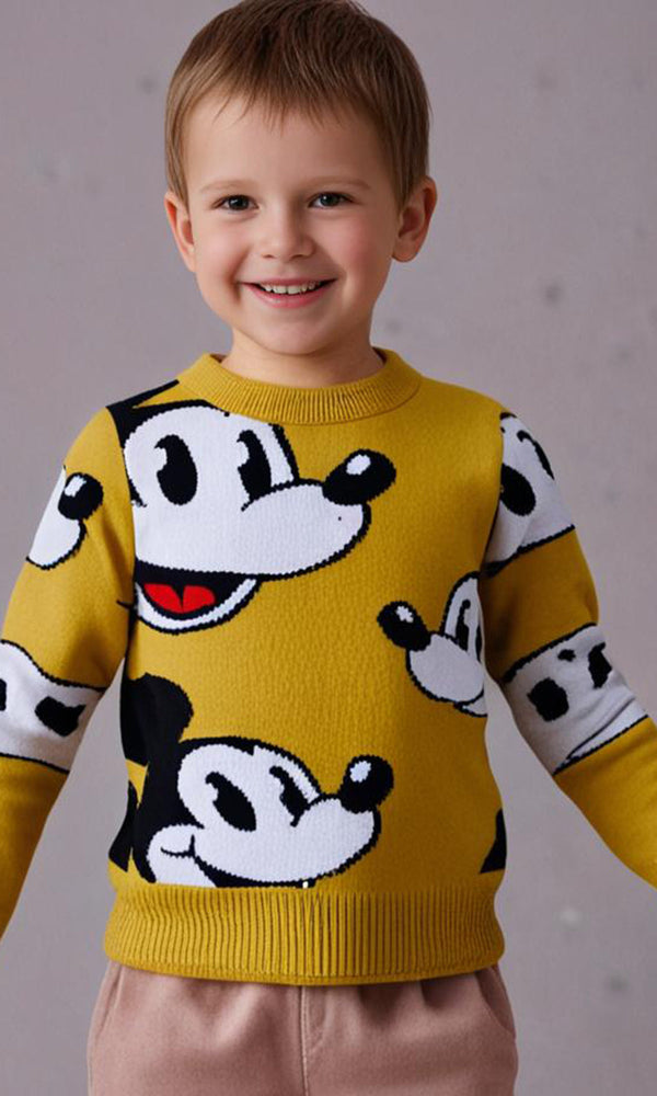 Boys Sweater - 0298669