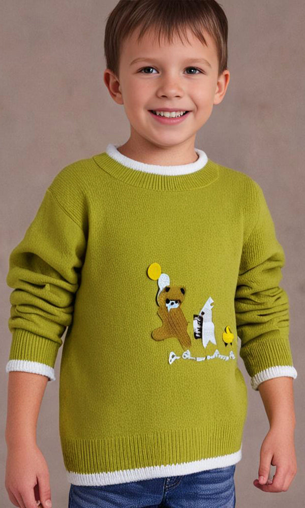 Boys Sweater - 0298928