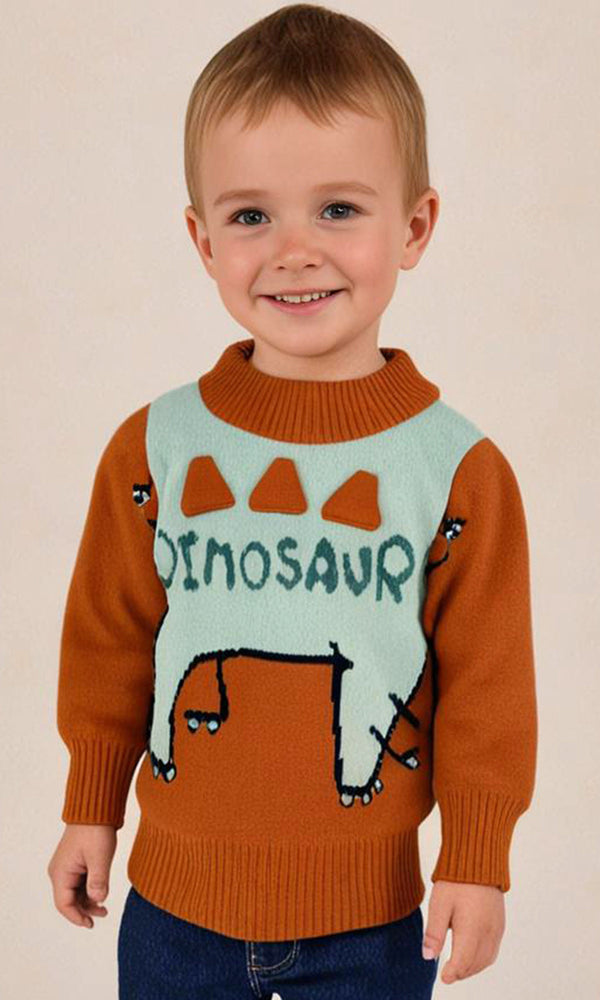 Boys Sweater - 0299031