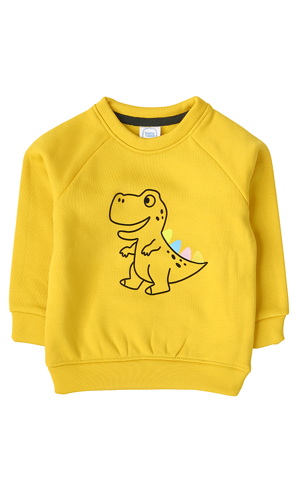 Boys Sweatshirt - 0299686