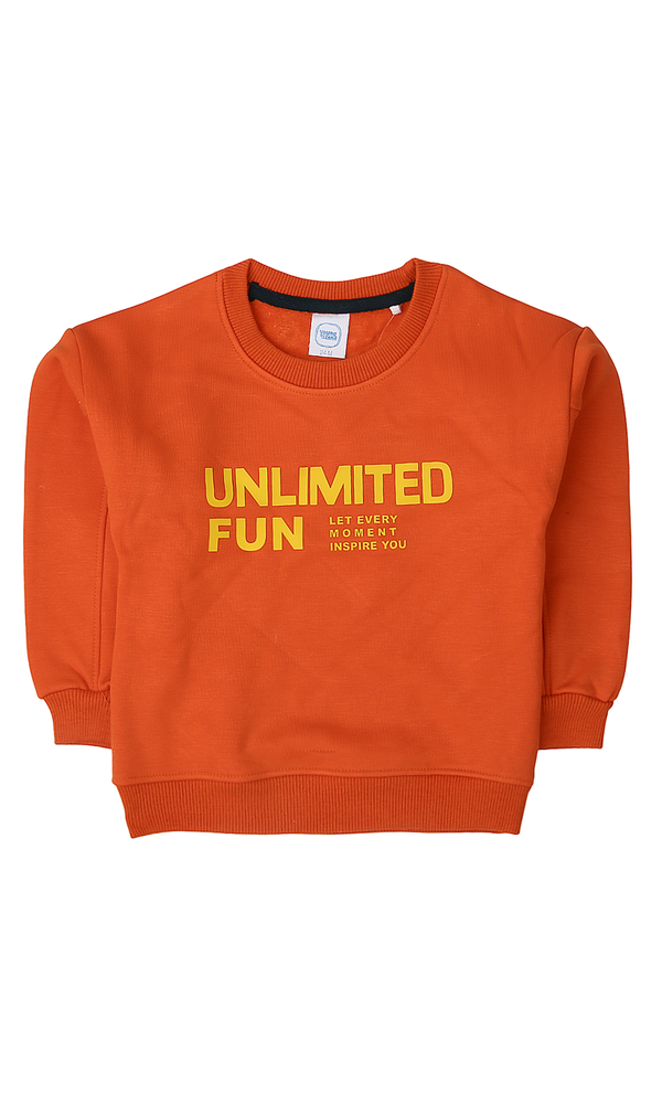 Boys Sweatshirt - 0300043