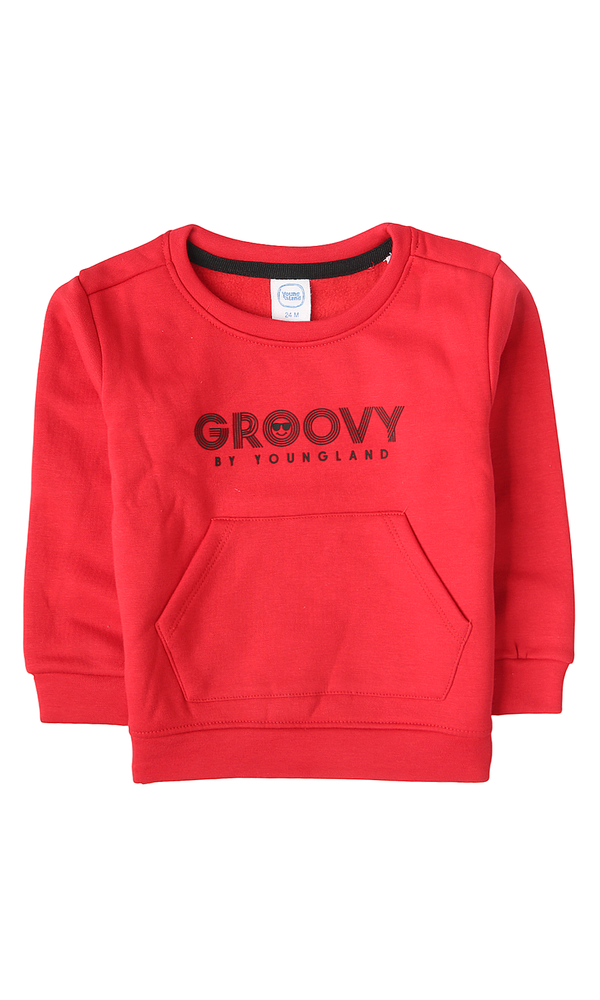 Boys Sweatshirt - 0300159