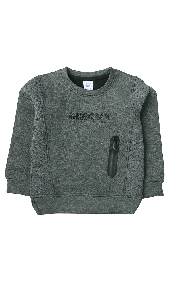 Boys Sweatshirt - 0300674