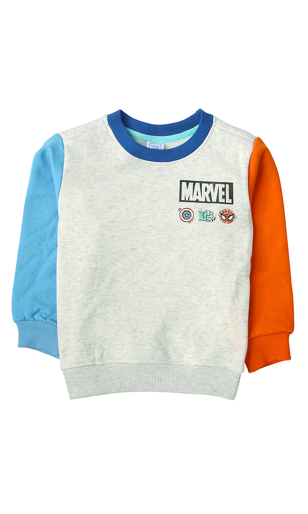 Boys Sweatshirt - 0300823