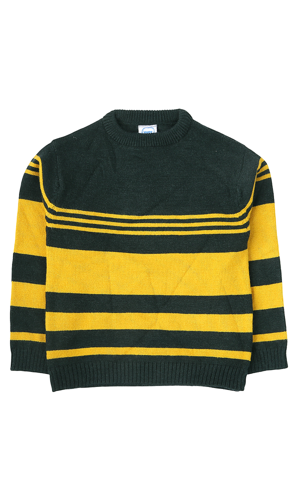 Boys Sweater - 0301316