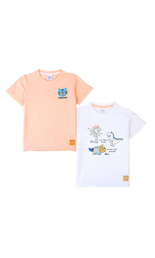 Boys T-Shirt Pack Of 2 - 0301678
