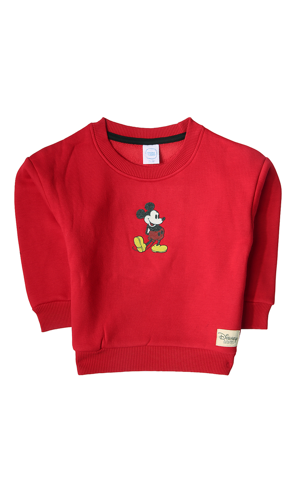 Boys Sweatshirt - 0314057