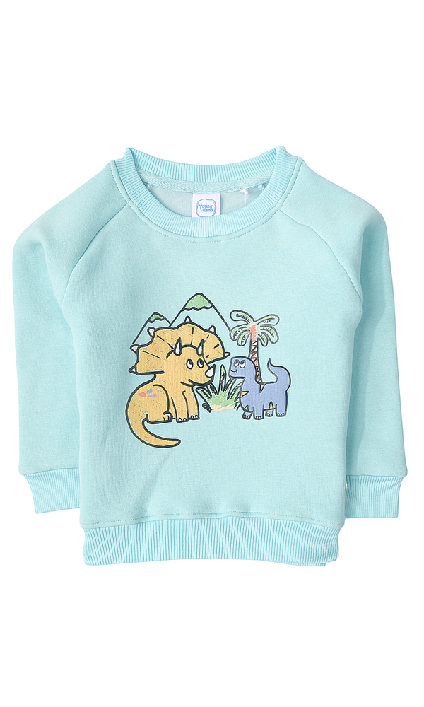 Boys Sweatshirt - 0315250
