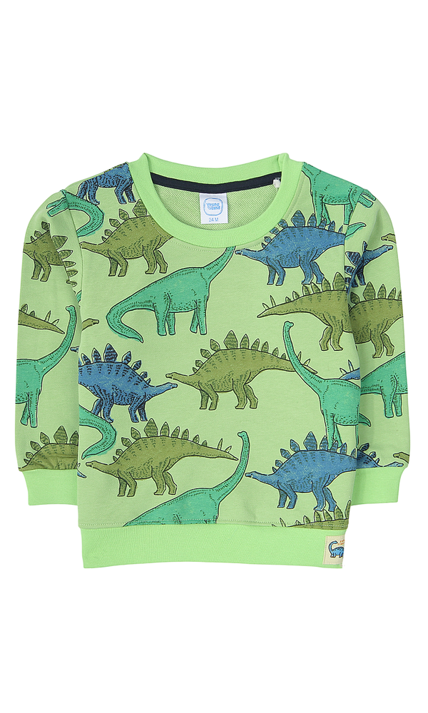 Boys Sweatshirt - 0315543