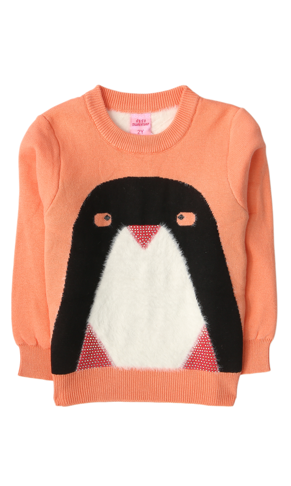 Girls Sweater - 0315986