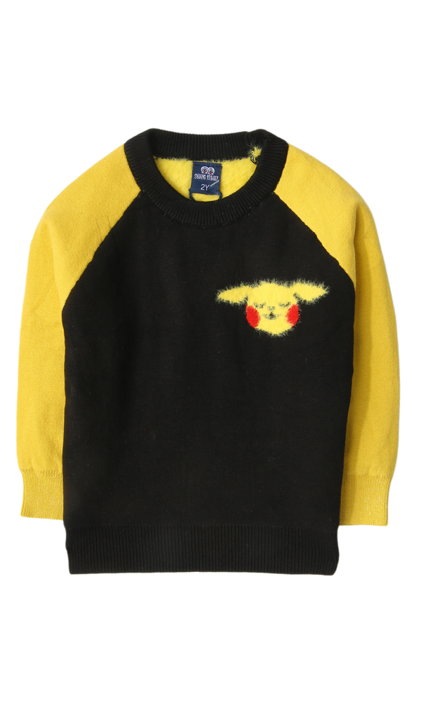 Boys Sweater - 0315996