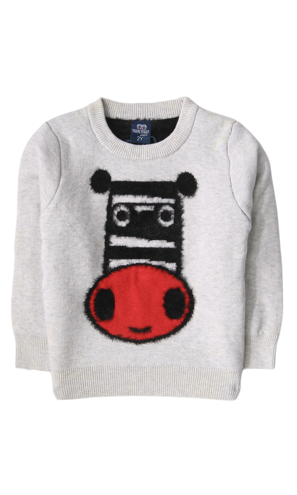 Boys Sweater - 0316039
