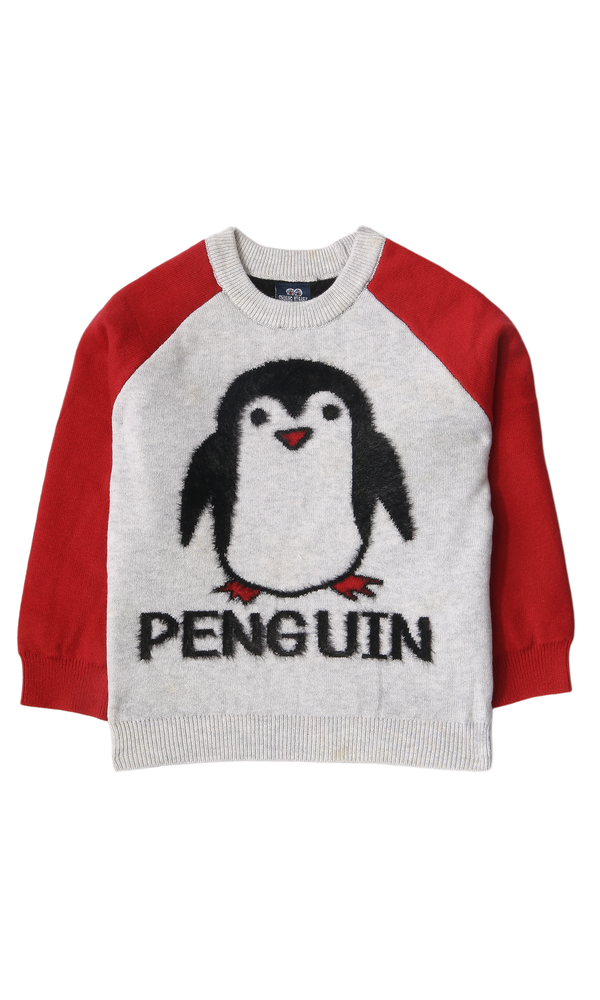 Boys Sweater - 0316218
