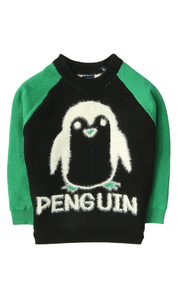 Boys Sweater - 0316228