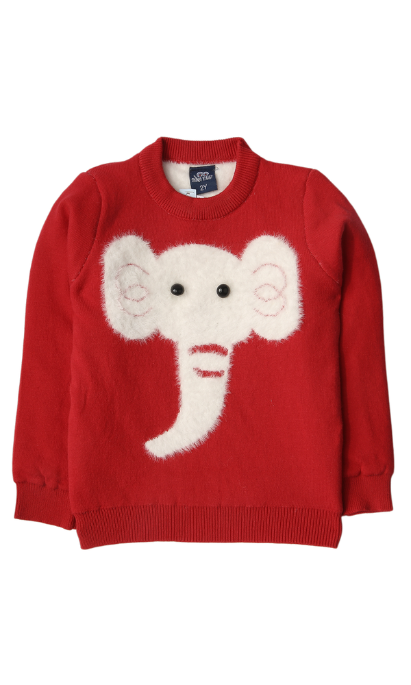 Sweater - 0316266