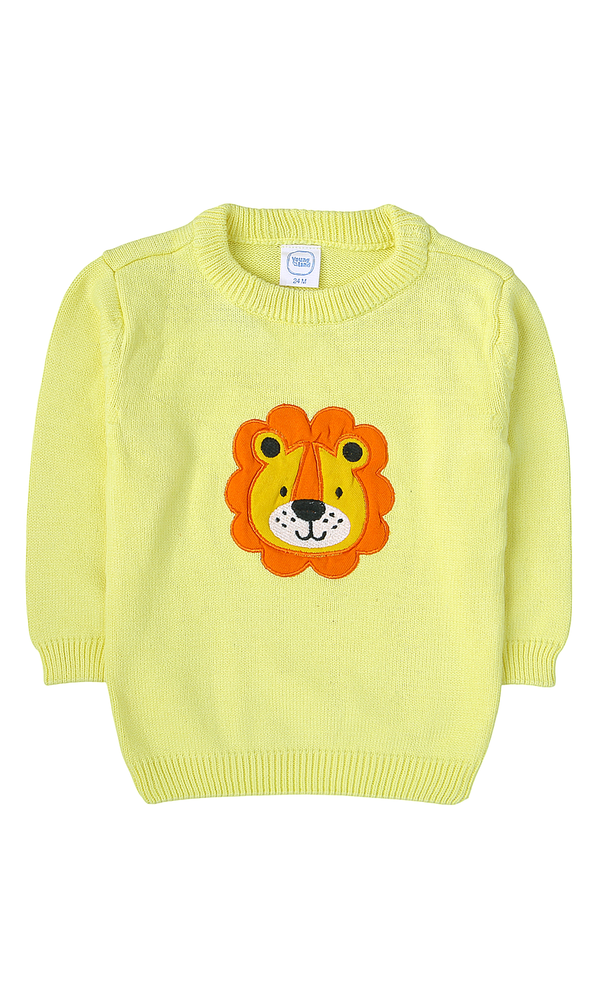 Boys Sweater - 0317186