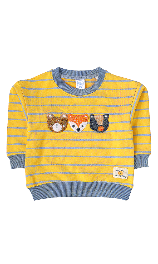 Boys Sweatshirt - 0318434