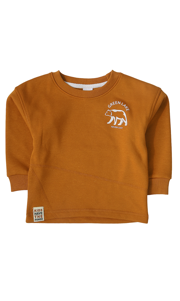 Boys Sweatshirt - 0318827