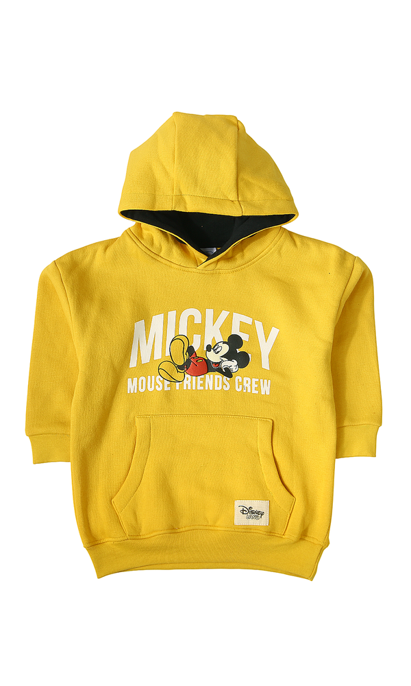 Boys Hoodie - 0319033