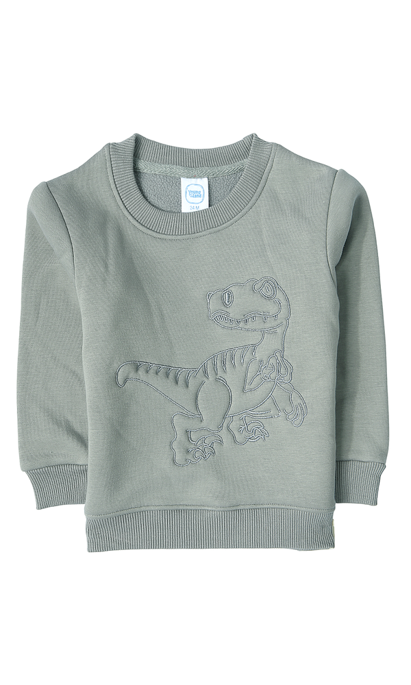 Boys Sweatshirt - 0319163