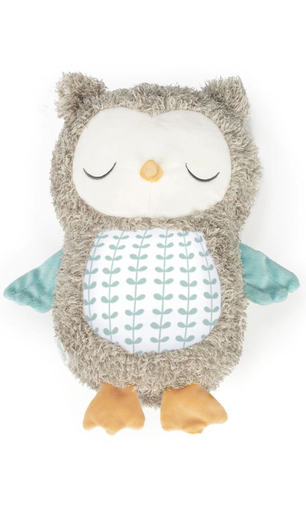 Ingenuity Musical Owl Nally Plush Pet With Bluetooth 0m+