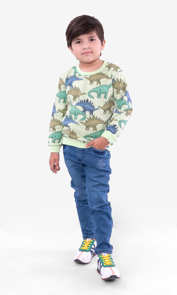 Boys Sweatshirt - 0315543