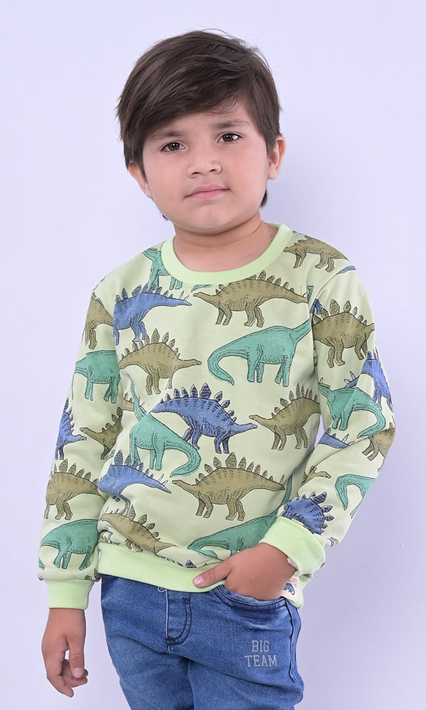 Boys Sweatshirt - 0315543