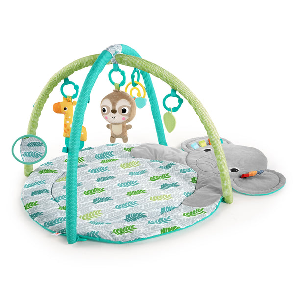 Hug ‘n Cuddle™ Activity Gym