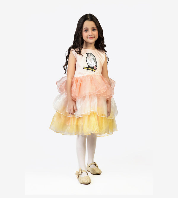 Girls Frock - 0273620