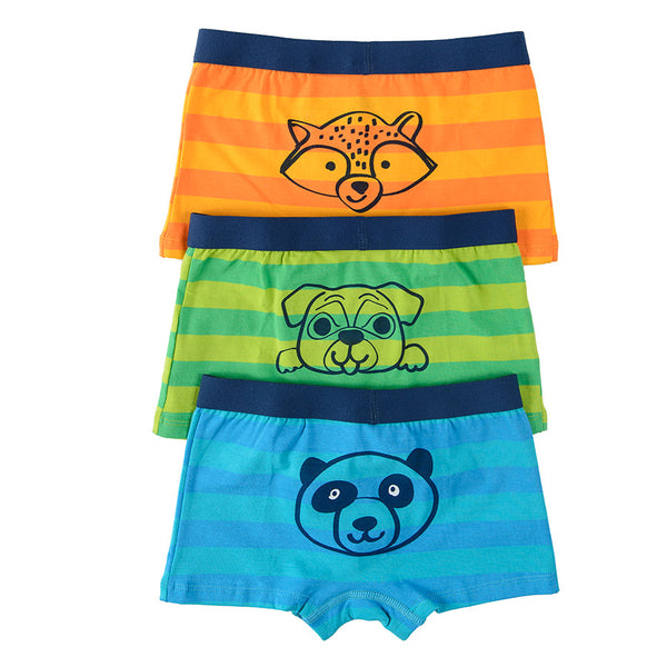 Boy's Boxer Briefs Mix Set 3 Pack CC CUB2510010 00