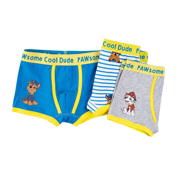 Briefs for Boy's Mix PAWsome Cool Dude Set 3 Pcs CC LUB2411510